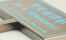 工艺制品 异叶南洋杉