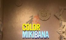 室内广告招牌 color mikibana