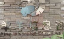 镜面不锈钢字制作 公司前台LOGO墙安装案列一富羊羊信息咨询